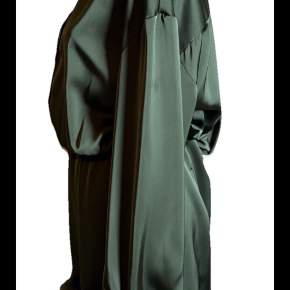 Cider Green Satin Dress with Fur Trim - Picture 7 of 8